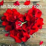 sandra2016 - @sandragiunta69 - Instagram