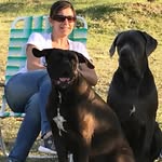 Sandra Giunta - @sjgiunta - Instagram
