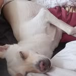 Sandra Glänzer - @glanzer_sandra - Instagram