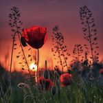Sandra - @sandra.glatzhoefer - Instagram