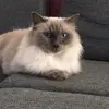 sandra.glatz82 - @la.ra.gl - TikTok