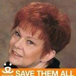 Sandra Goad - @sandra.goad.14 - Instagram