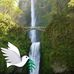 Sandra Goad - Facebook