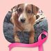 Sandra le Goff - Facebook