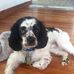 Sandra Goggin - Facebook