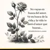 Sandra Gonsalez - @sandra.gonsalez22 - TikTok