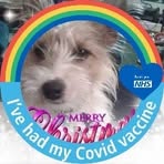 Sandra Goodchild - Facebook
