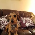 Sandra Goodchild - Facebook