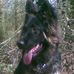 Sandra Goodfellow - Facebook