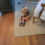 Sandra Goodnough - @sandra.goodnough.1 - Instagram