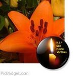 Sandra Foad Goodsell - @sandragoodsell - Instagram