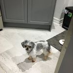Sandra Goodyear - @sandra.goodyear - Instagram