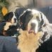Sandy Gosnell - Facebook