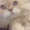 Sandra Gott - @sandra.gott - TikTok