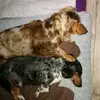 sandra Gotti - @baciobygotti - TikTok