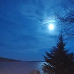 Sandra Goulet Boudens - @sandraboudens - Instagram