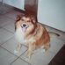 Sandra Gowan - Facebook