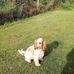 Sandra Gowdy - Facebook