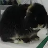 Sandra robinson - @sandragrainger783 - TikTok