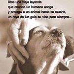 Sandra Granja - @sandra_granja - Instagram