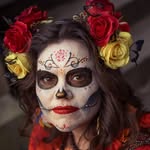 Sandra Grauer - @sandragrauer - Instagram