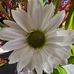 Sandra Gray - Facebook