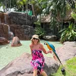 Sandra Greathouse Dalton - @sandragreathousedalton - Instagram