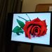 Sandra Greenbaum - Facebook