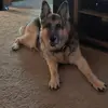 sandragregware - @sandy1235789 - TikTok