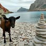 Sandra Greif - @nasenbaer2108 - Instagram
