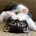 Sandra Gress - Facebook