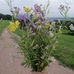 Sandra Grether - Facebook