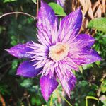Sandy - @sandra.grether81 - Instagram