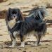 Sandra Griffiths - Facebook