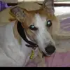 Sandra Griffiths - @sandra.griffiths47 - TikTok