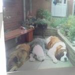 Sandra Griffiths - @sandragriffiths268 - Instagram