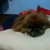 Sandra Grima - @sandra.grima7 - TikTok