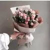 Samira 1996 - @sandra.groen - TikTok