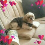 Sandra Groh - @sandra.groh.5891 - Instagram