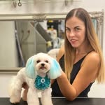Груминг 🐾 - @groomer_sandra - Instagram