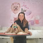 Imperio Pet Escola - @sandra_luz_groomer - Instagram