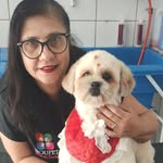 itoupet Salão e Estética  Animal Groomer Sandra - @sandragroomeritoupet_ - Instagram