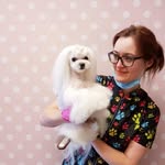 Sandra M. Grzelczak ☆ Groomer ☆ Hundefrisør Skole - @sandragrzelczak_groomer - Instagram