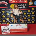 Sandra - @sandrafgroomer - Instagram