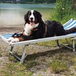 Sandra Großmann - @sandragrossmann - Instagram