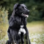 Sandra Großmann - @grossmann481 - Instagram