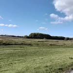 @_sandra_grote - Instagram