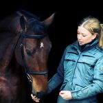Sandra Groth - @groth_sandra - Instagram