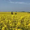 Sandra Grothkopp - @sandragrothkopp - TikTok
