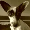 sandragroth770 - @sandragroth770 - TikTok